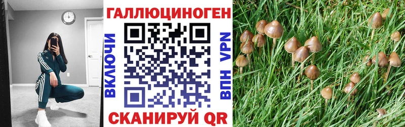 Галлюциногенные грибы Magic Shrooms  Петухово 